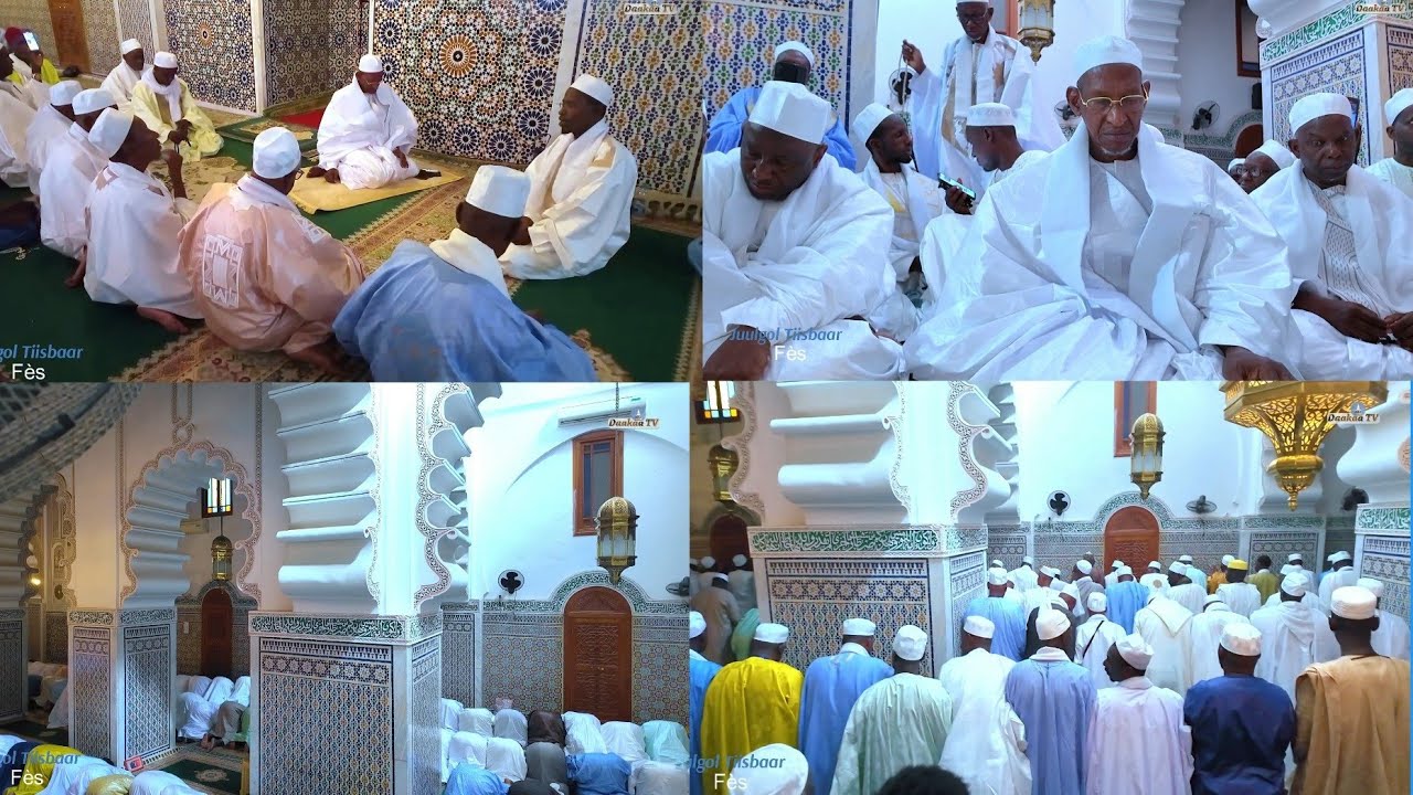 JUULGOL TIISBAR TO ZAWIA CHIEKH AMADOU TIDIANE CHÉRIF RAT ZIARRA FÈS ÉDITION  2025