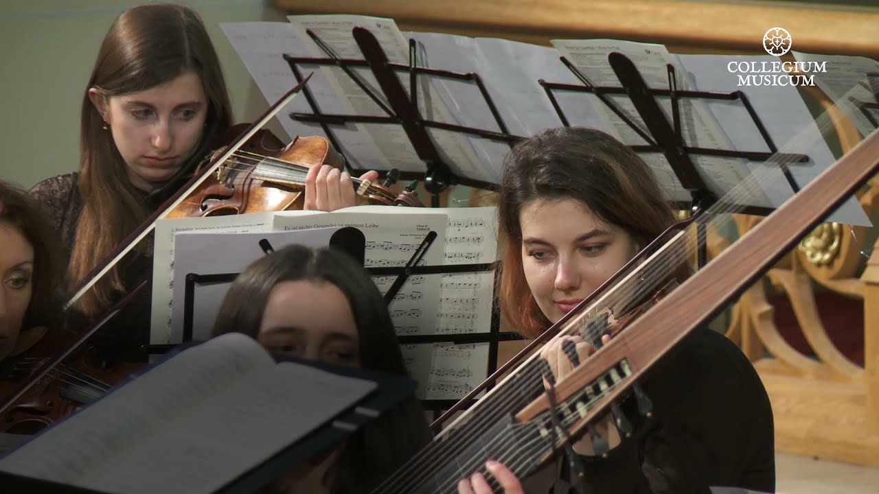 Bach: BWV 135 ACH HERR, MICH ARMEN S&Uuml;NDER. &laquo;Искупи, Всевышний, мои грехи&raquo;.