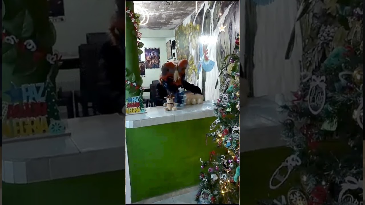 The furry Grinch #furry #furros #furries #furro #fursuit #fursuiter #fursuiting #humor #grinch