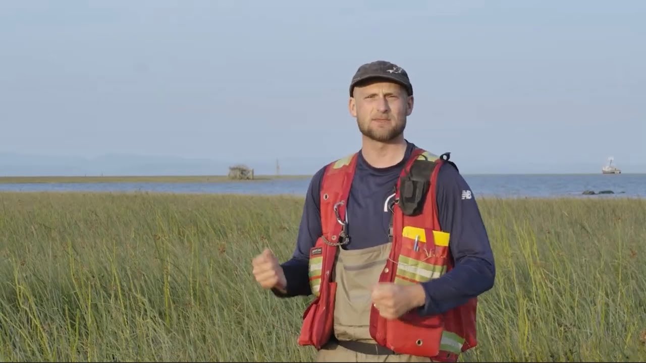 FRESH : Fraser River Estuary Salmon Habitat Restoration Projects
