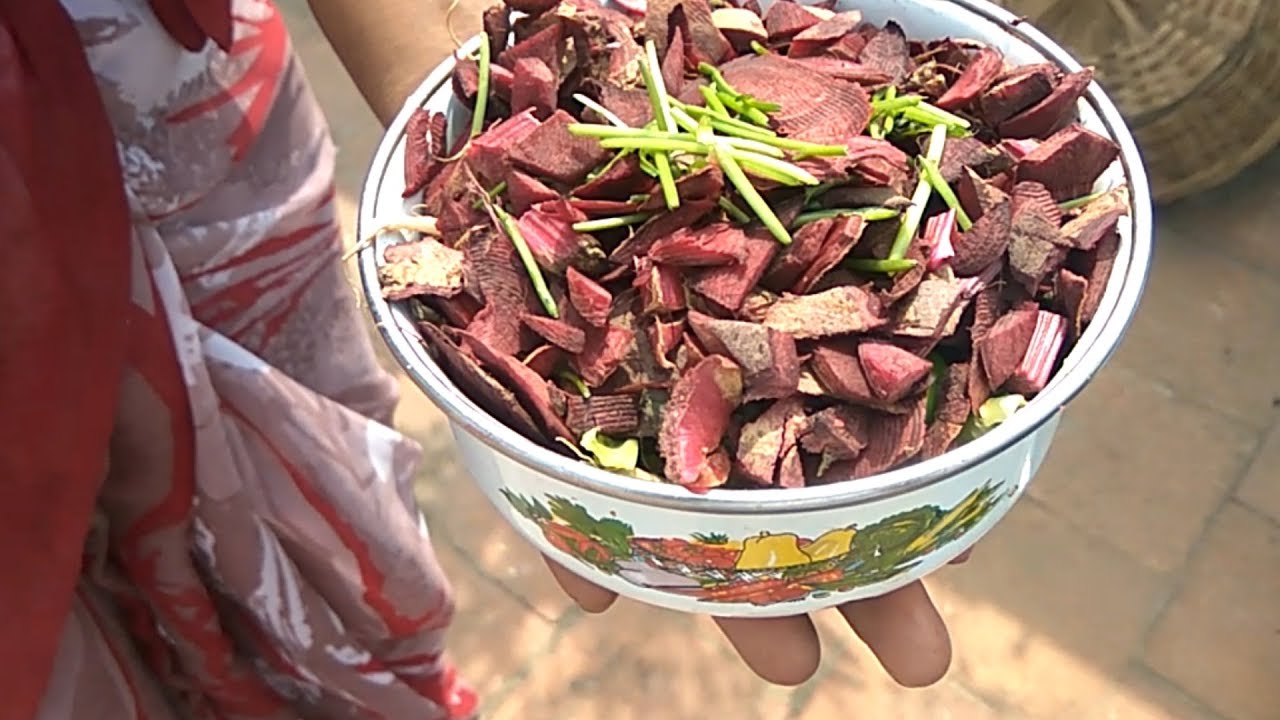 குறைந்த செலவில் நாட்டு கோழி தீவனம்(பாலக் கீரை/அசோலா)/ Poultry fodder at low cost