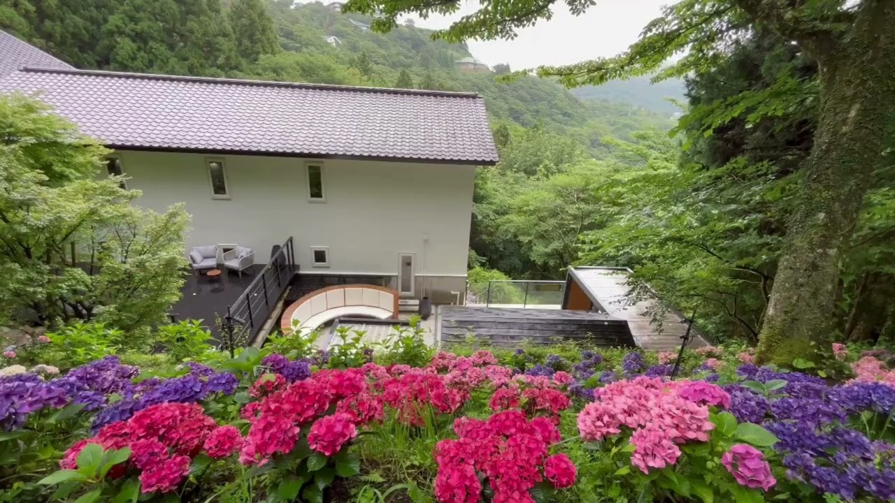 箱根　旅館　蔵樹　箱根神社の神域　紫陽花の絶景　BGM 亜麻色の髪の乙女　ドビュッシー