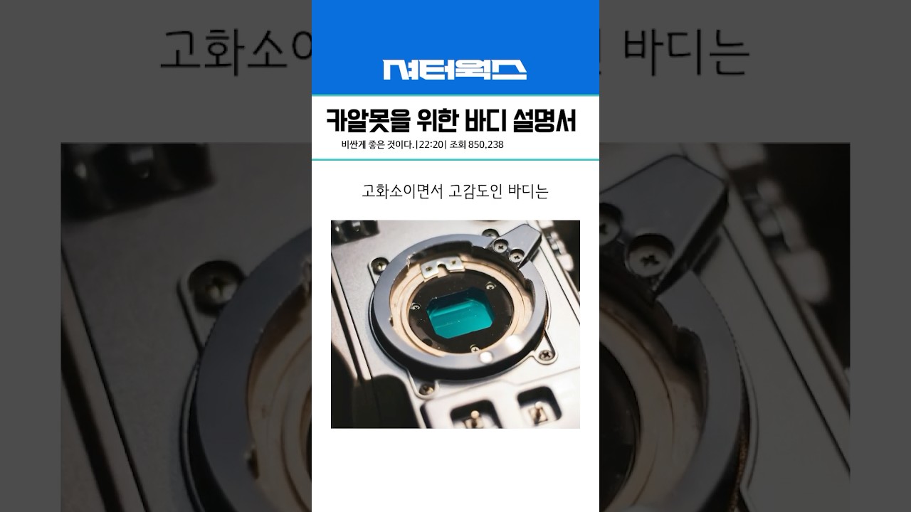 미러리스 카메라 바디에 대한 모든 것