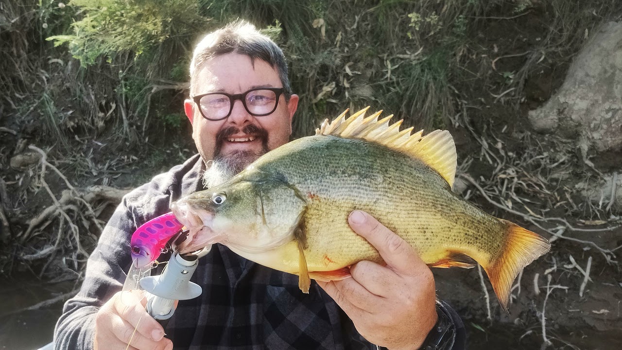 Lure fishing the lower Ovens River