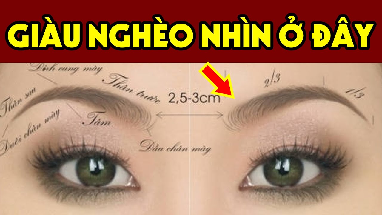 Xem TƯỚNG LÔNG MÀY Biết Rõ Vận Mệnh Sang Hèn, Giàu Nghèo - Cần Gì Đi Xem Thầy Tốn Tiền