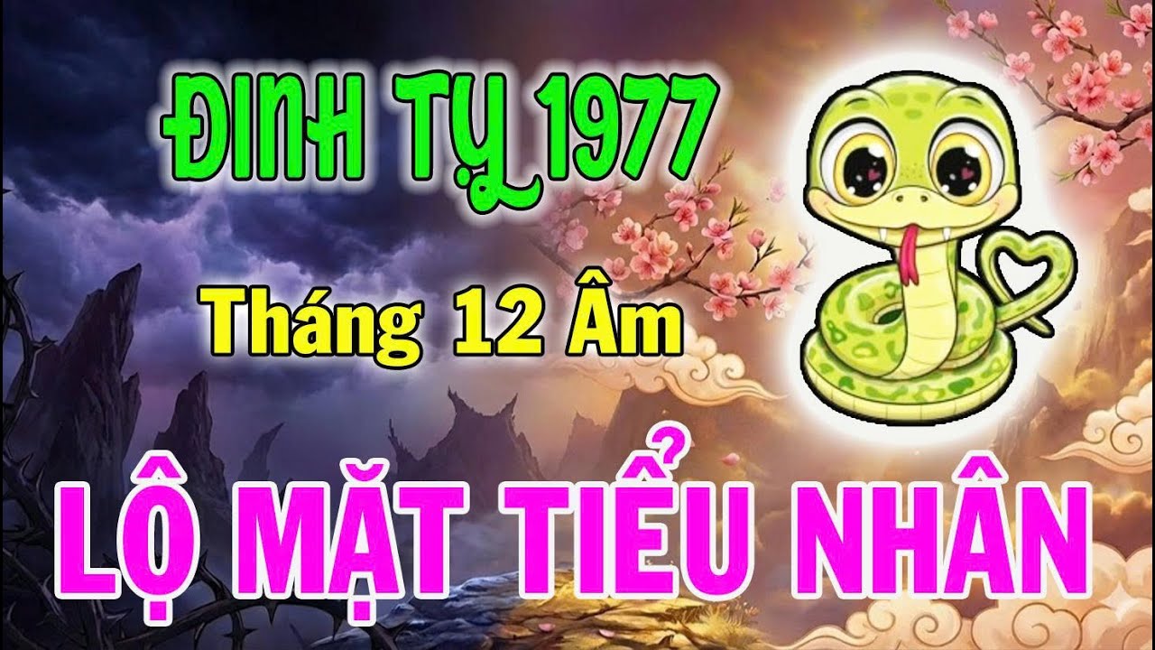 Tuổi Đinh Tỵ 1977: Nhận Diện Ai Là Tiểu Nhân, Ai Là Quý Nhân Và Lời Khuyên Tháng 12 Âm Lịch 2025