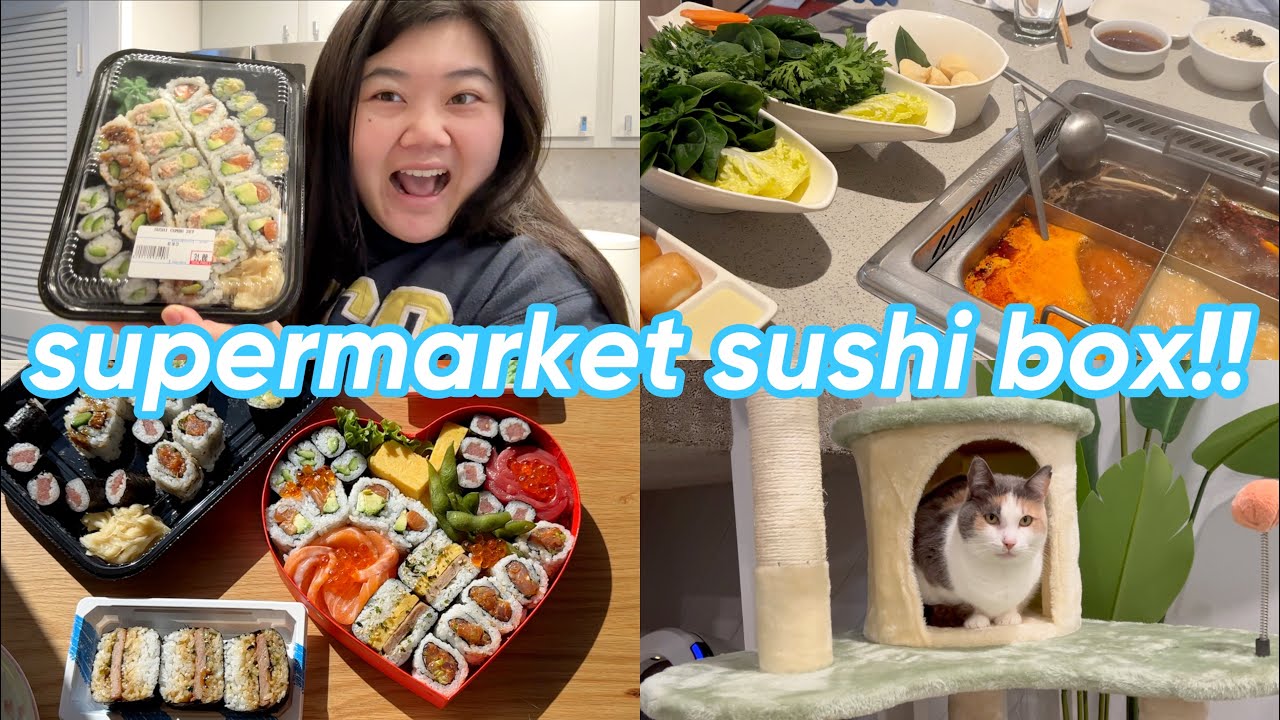 my favorite supermarket sushi 🍱, how I met bird 🐤 + new aesthetic cat tree!! 😻🌳