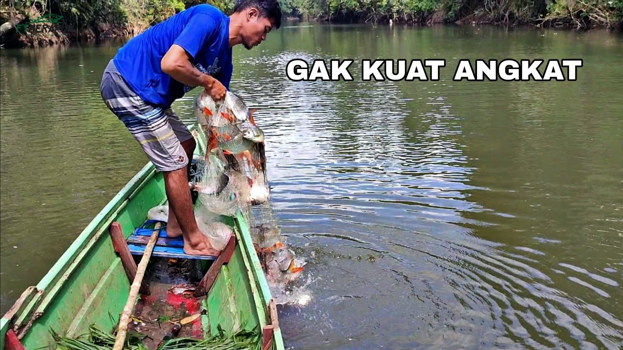 BAHAGIANYA JALA IKAN BISA DAPAT IKAN SEBANYAK INI 😁