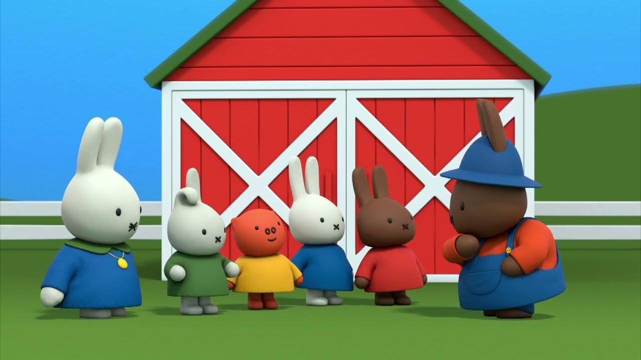 Miffy's school trip | Miffy | Cartoons for kids