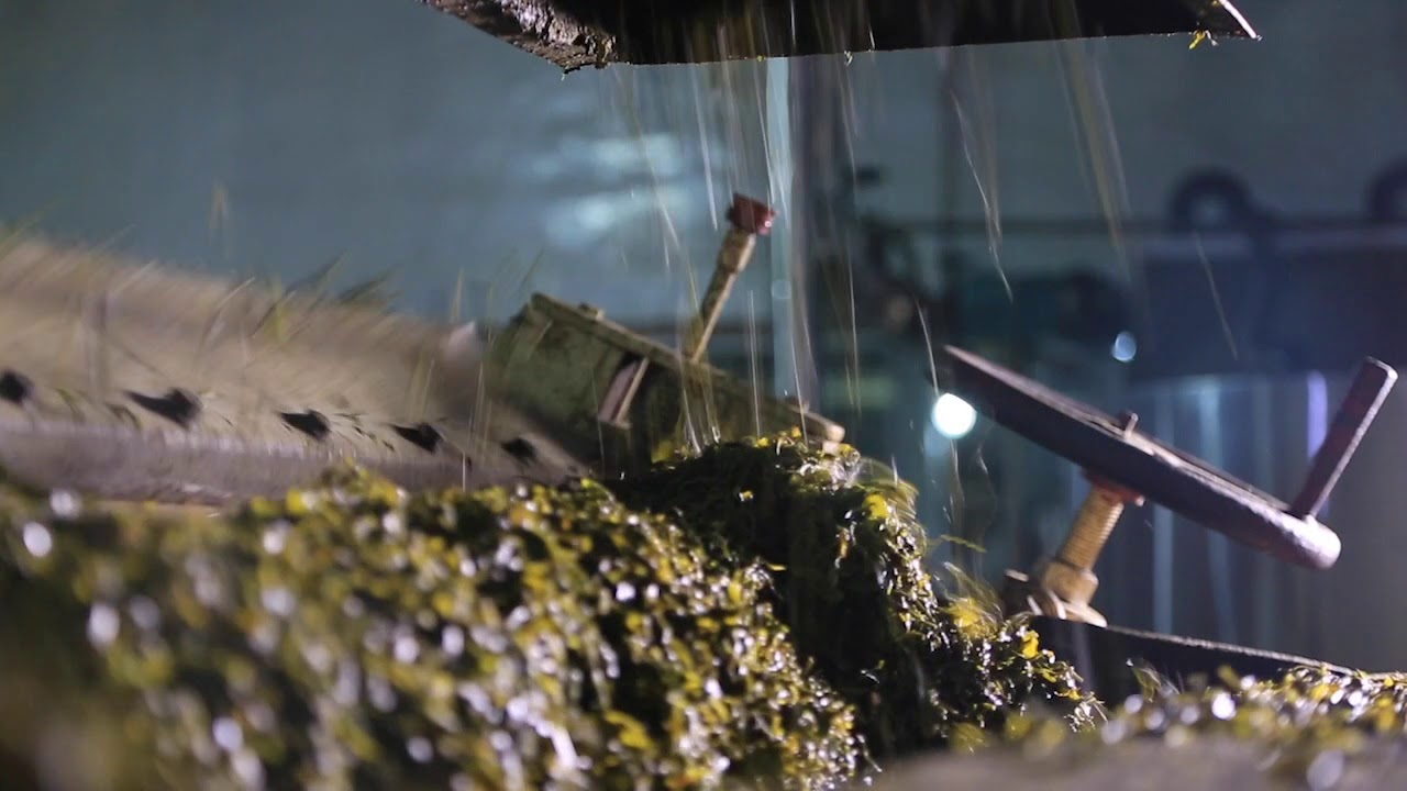 Park Green Tea Factory