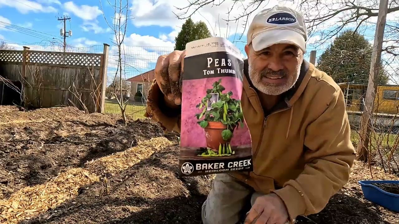 Gardening in April mix clips along with going to the birds