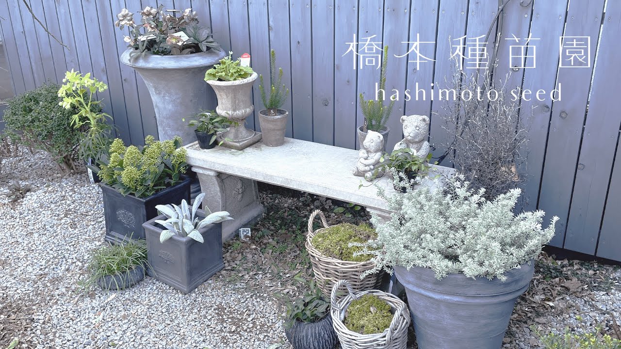 オフシーズンでもお庭を華やかに♪おすすめ植物＆鉢もご紹介！