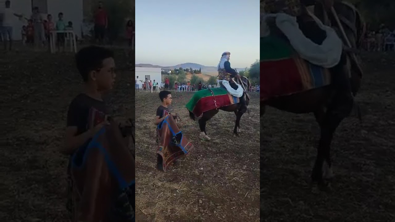 الفنان الشعبي يونس البرقاوي و اقوى العاب الفروسية التقليدية  