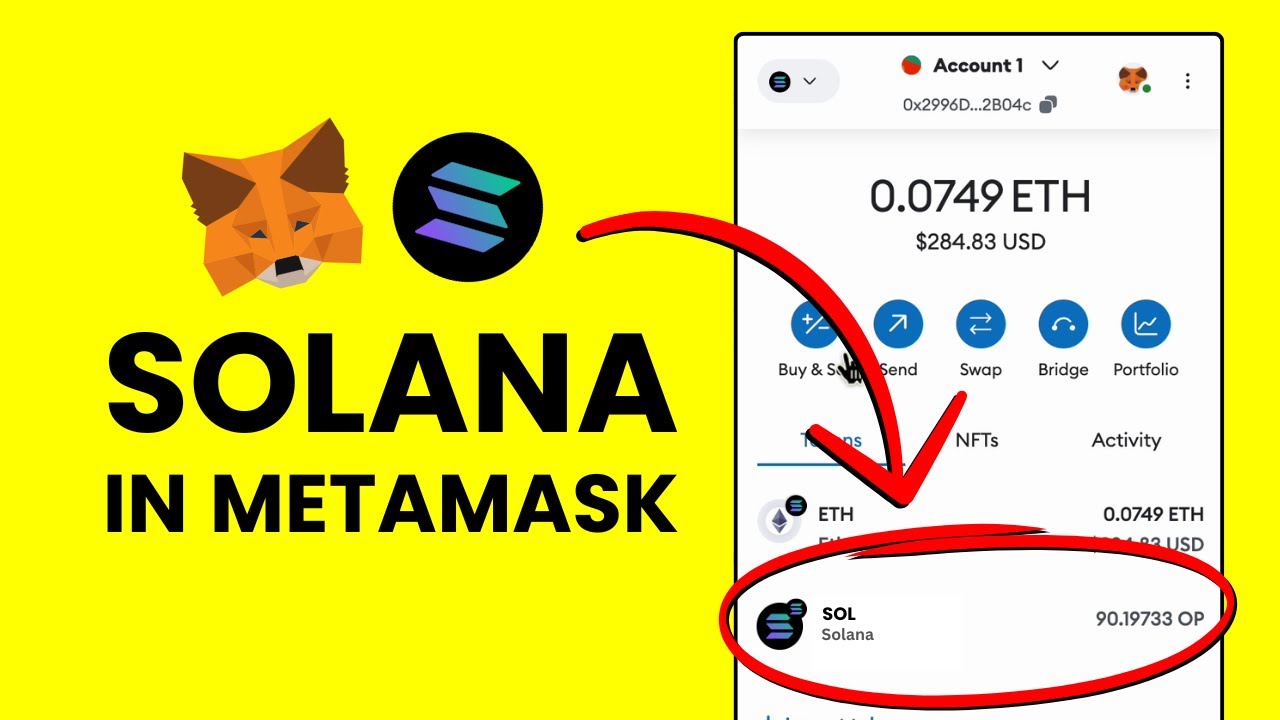 How to Add Solana in MetaMask? Send and Receive Solana Tokens