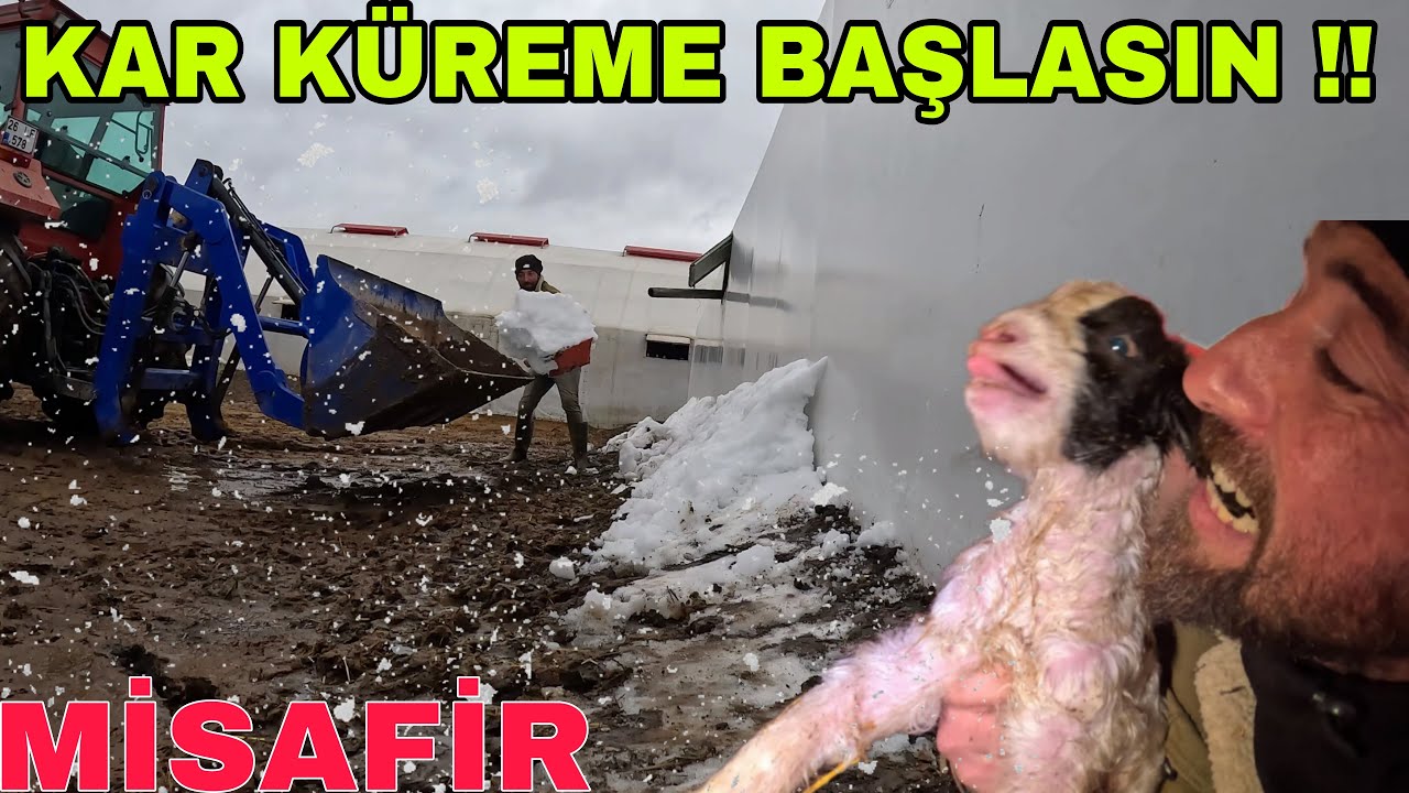 ÇADIRDAN DÜŞEN KAR !! KIZIM HASTA OLDU~DURUMU NASIL~KEÇİLER DOĞUMA BAŞLADI