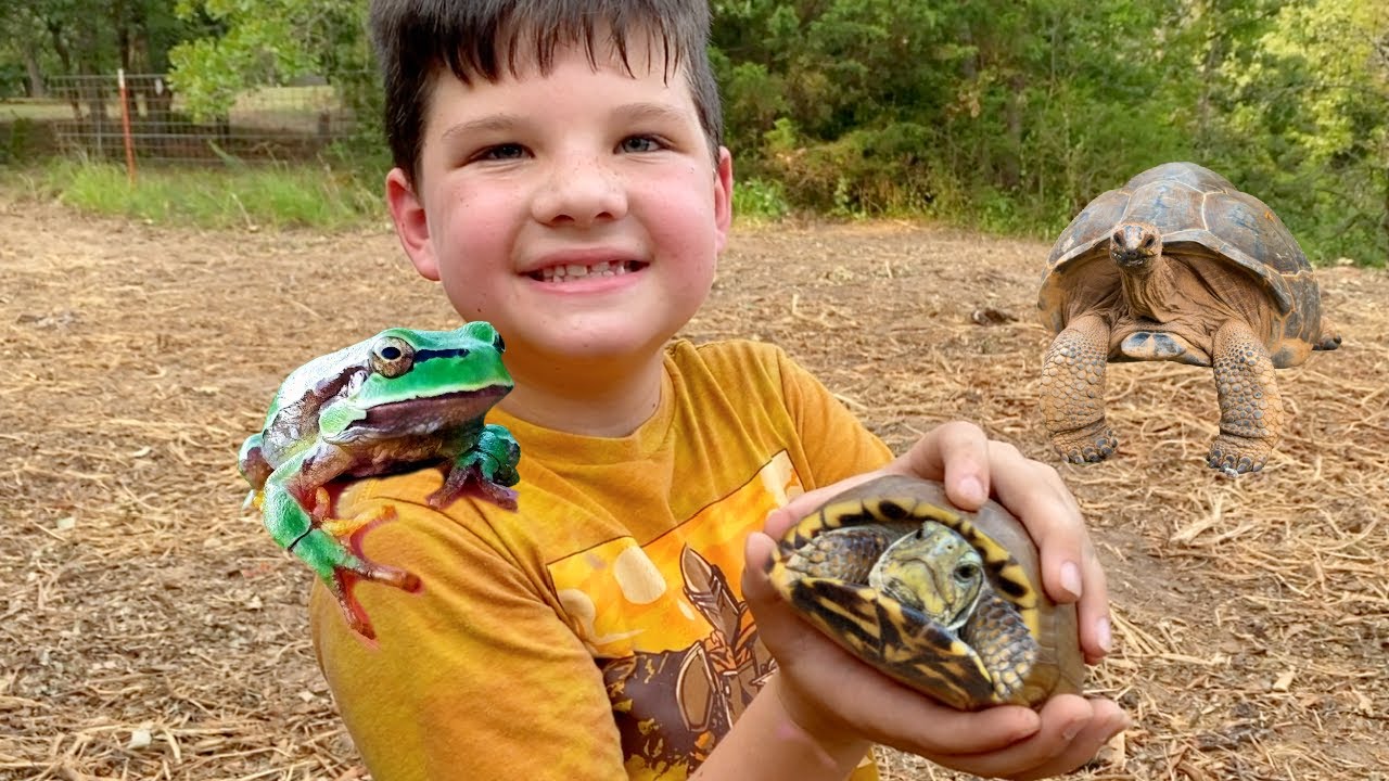CATCHING GIANT TURTLES, WATER SLIDES and GIANT EXCAVATORS for KIDS! BEST DAY EVER with Caleb & Mom