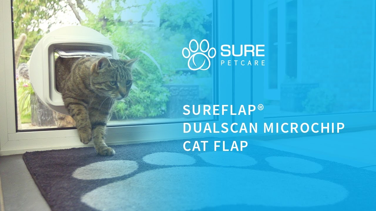 The SureFlap&reg; DualScan Microchip Cat Flap