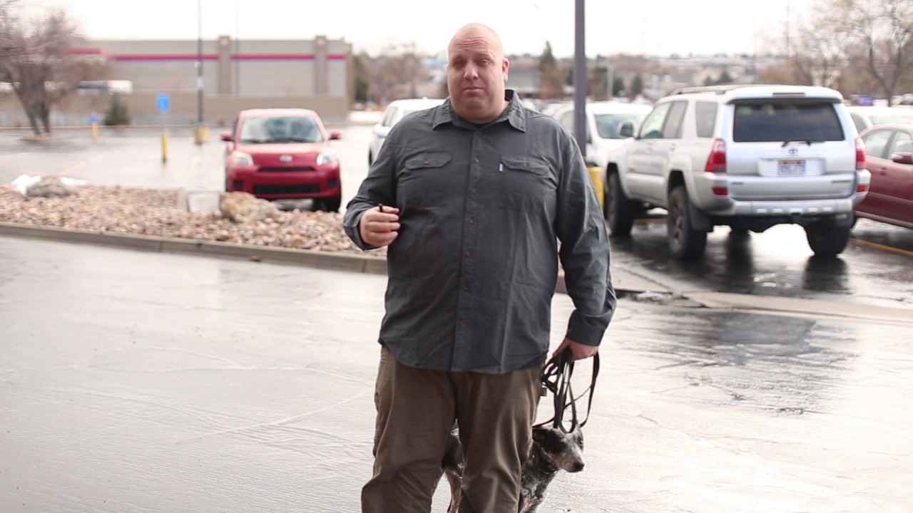 TYD60 Moment- How Do You Train an Aggressive Dog to be on Off Leash Walks?  Ty the Dog Guy