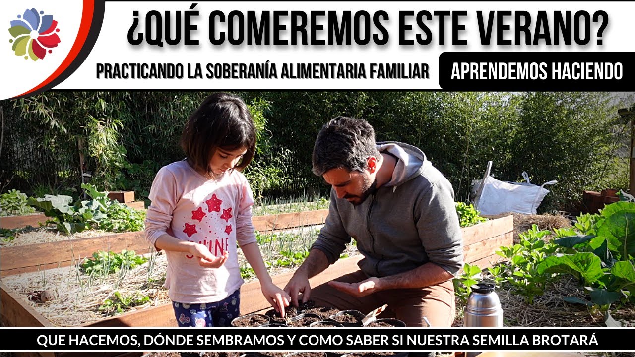 🍅 HUERTO en CASA - Así EMPEZAMOS los PLANTINES de PRIMAVERA - VERANO 🌱 Primer siembra