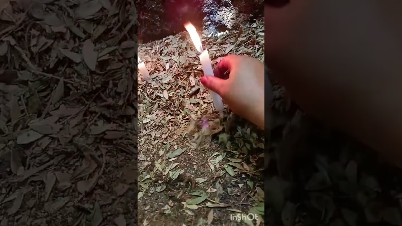 الله الله يا رجال الله ❤️دعيوات الخير ليكم فينما  زرت ومشيت💕💓❣️