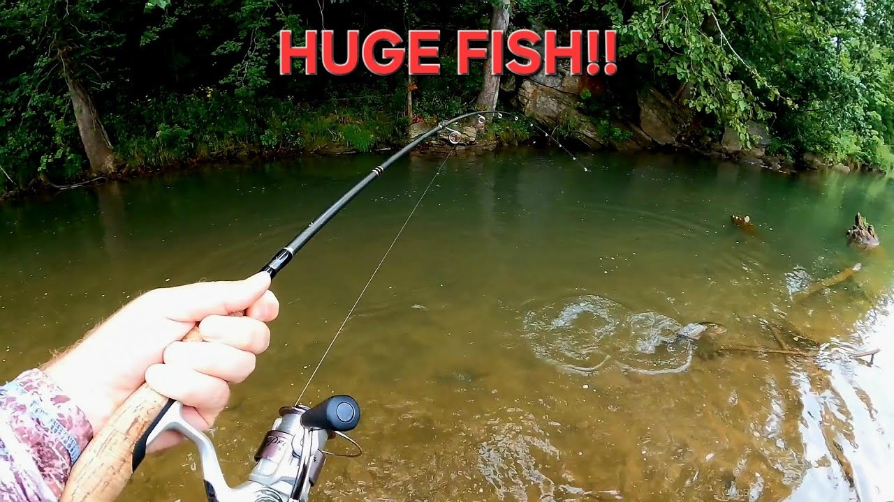 Live TROPHY TROUT Fishing || The Good, Bad & Ugly.. 