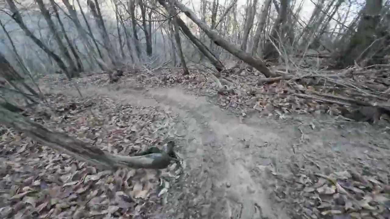 Final - Colli Euganei mtb