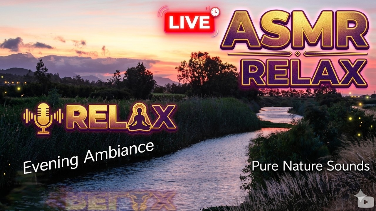 live (Relax / ASMR) evening ambiance