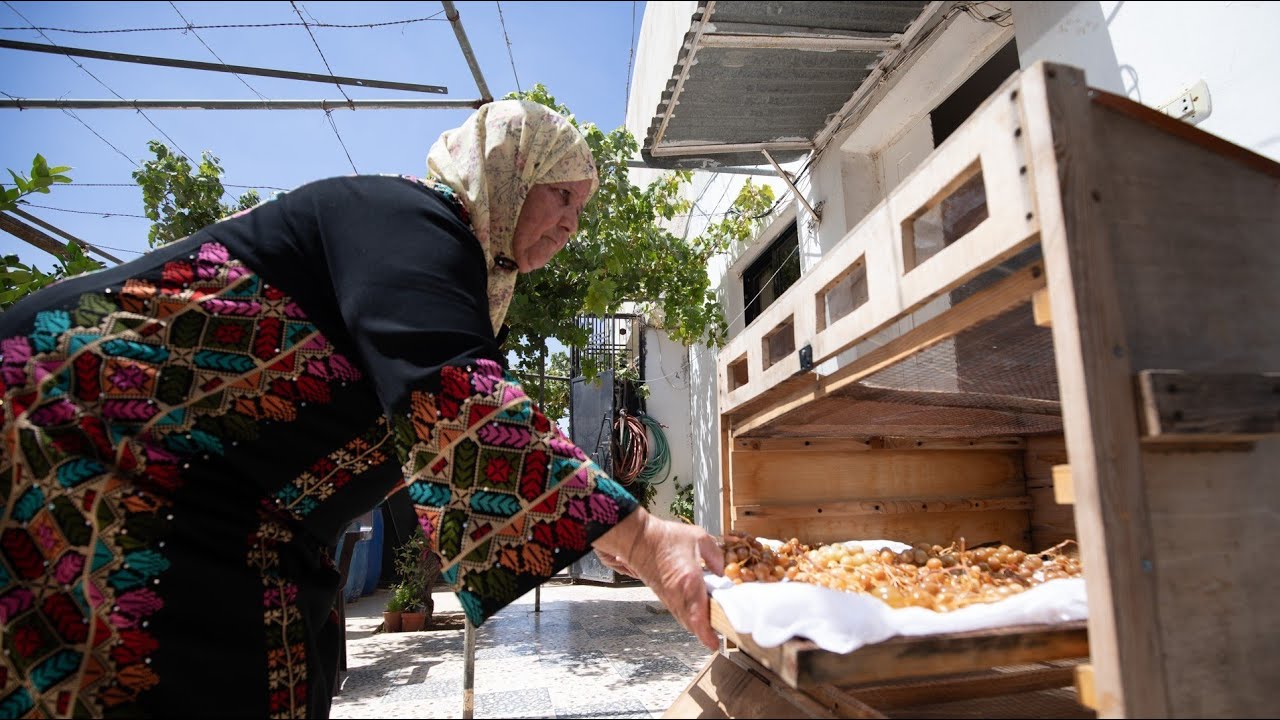 Fatima’s Story | Empowering Smallholder Farmers in Jordan | Acted