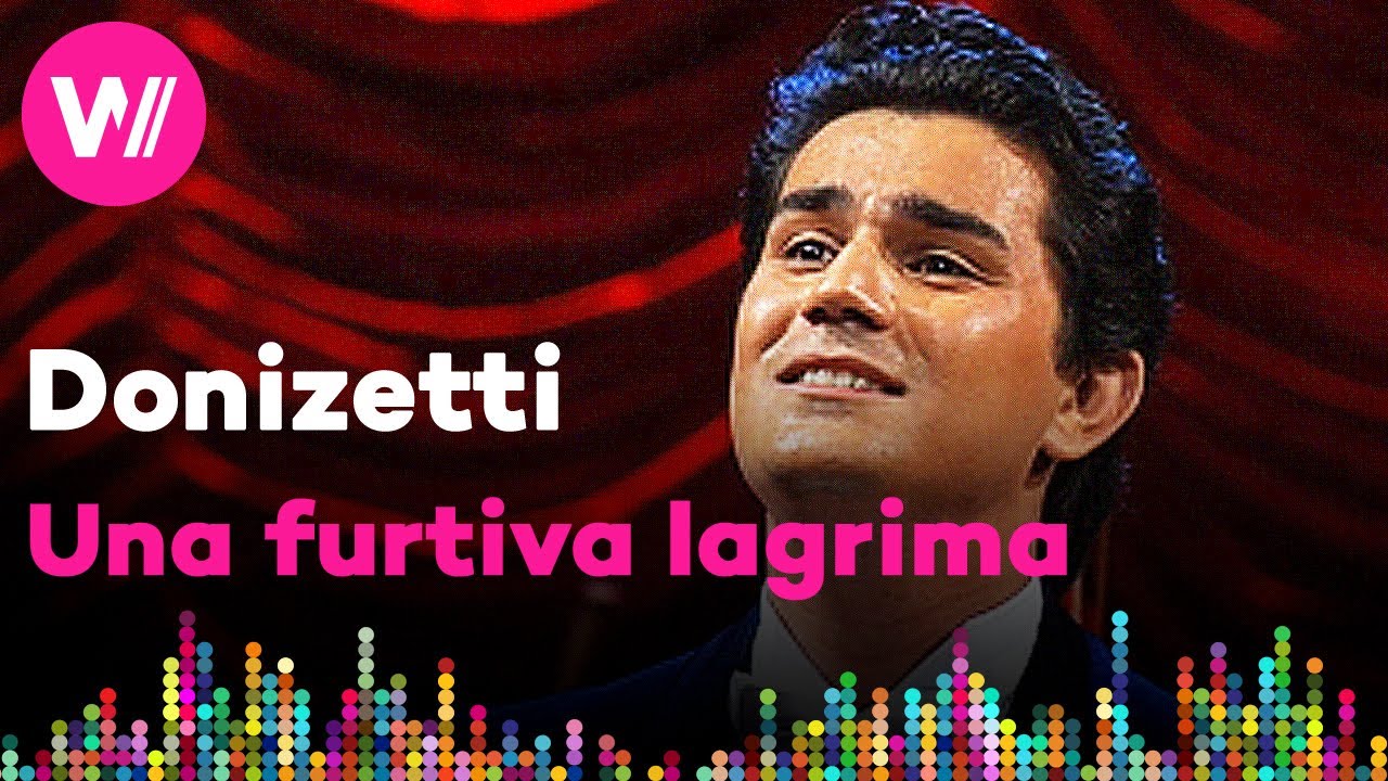 Gaetano Donizetti: L'elisir d'amore: Una furtiva lagrima (Saimir Pirgu)|Opera Night,Cologne 2005