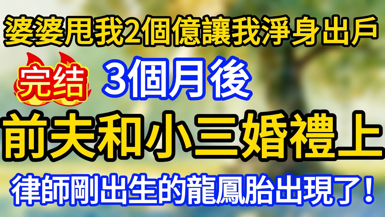 婆婆甩我2個億讓我淨身出戶，3個月後前夫和小三婚禮上，律師剛出生的龍鳳胎出現了！