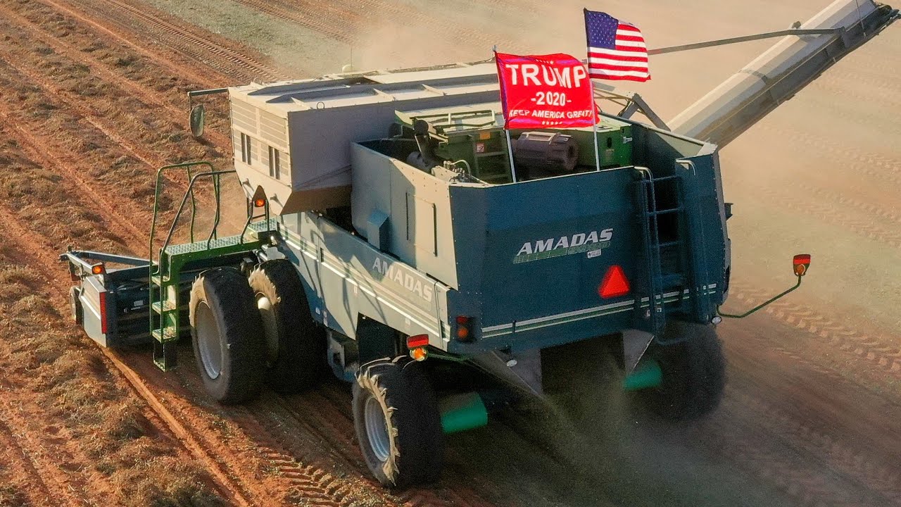 Peanut harvest 🥜2020🥜 Amadas 9980 combine