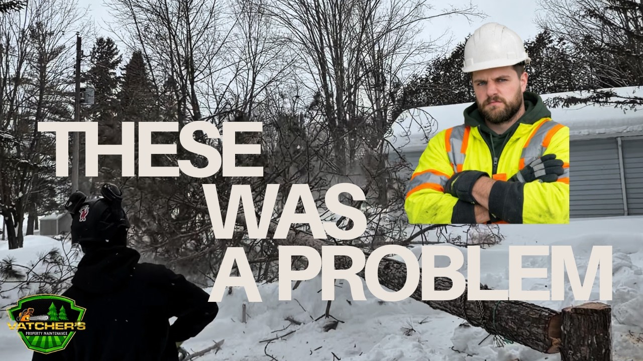 These Trees Were a BIG Problem