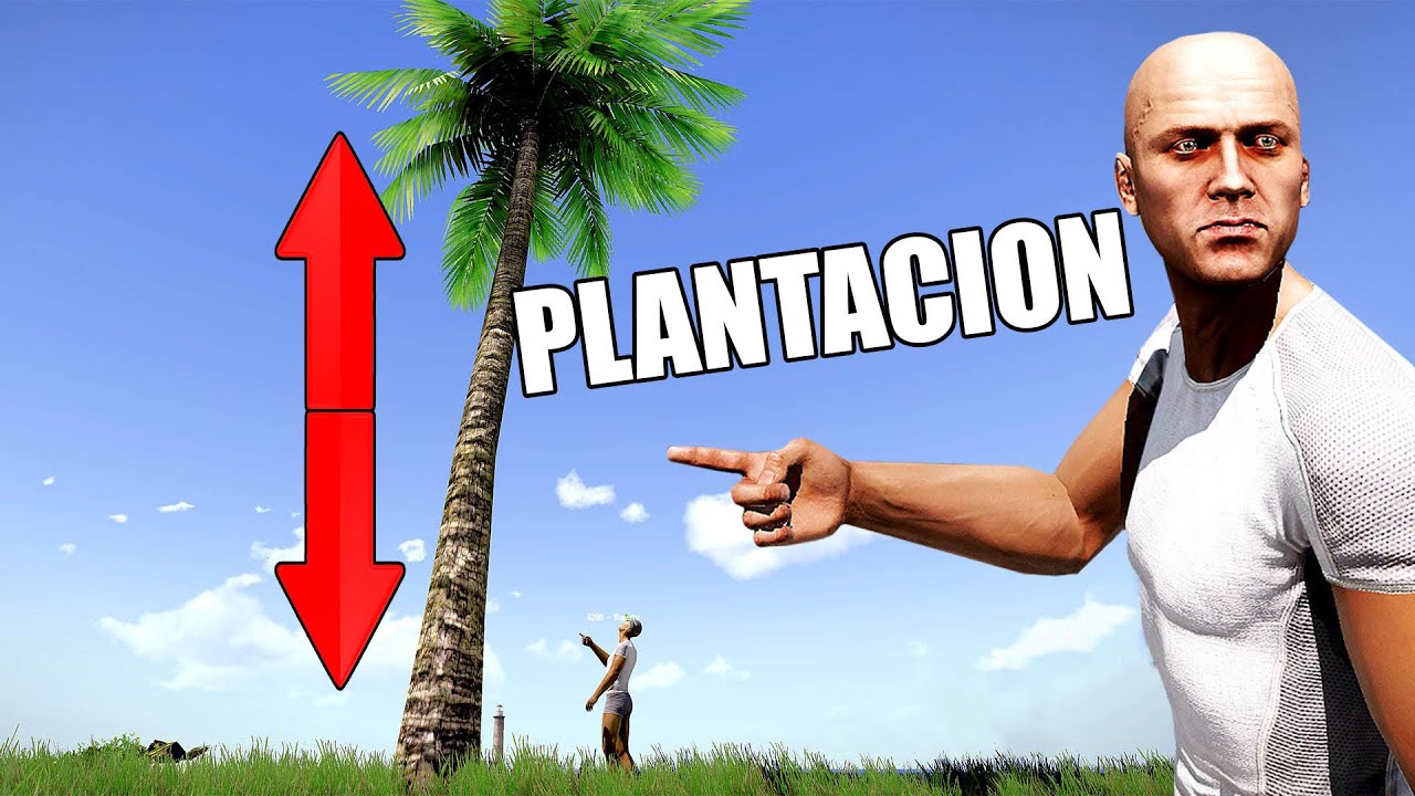 NUESTRA MEGA PLANTACION *NUEVO TRABAJO*🤣 POP LIFE #2