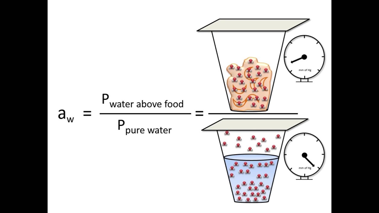 Moisture Content and Water Activity