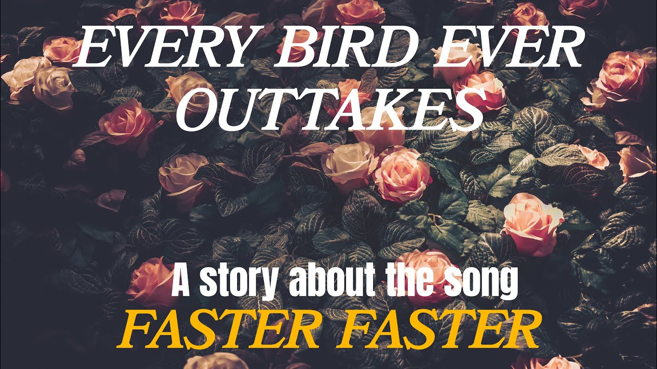 Faster Faster - Every Bird Ever Outtake