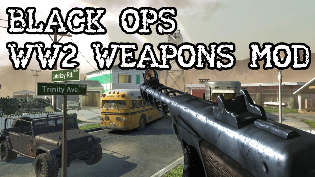 Black Ops 1: WW2 MP Weapons Mod