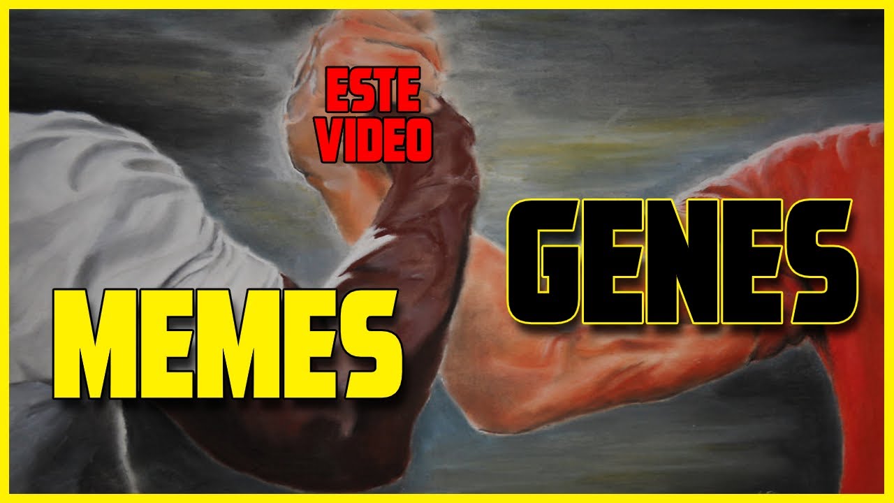 La TEORÍA de los MEMES