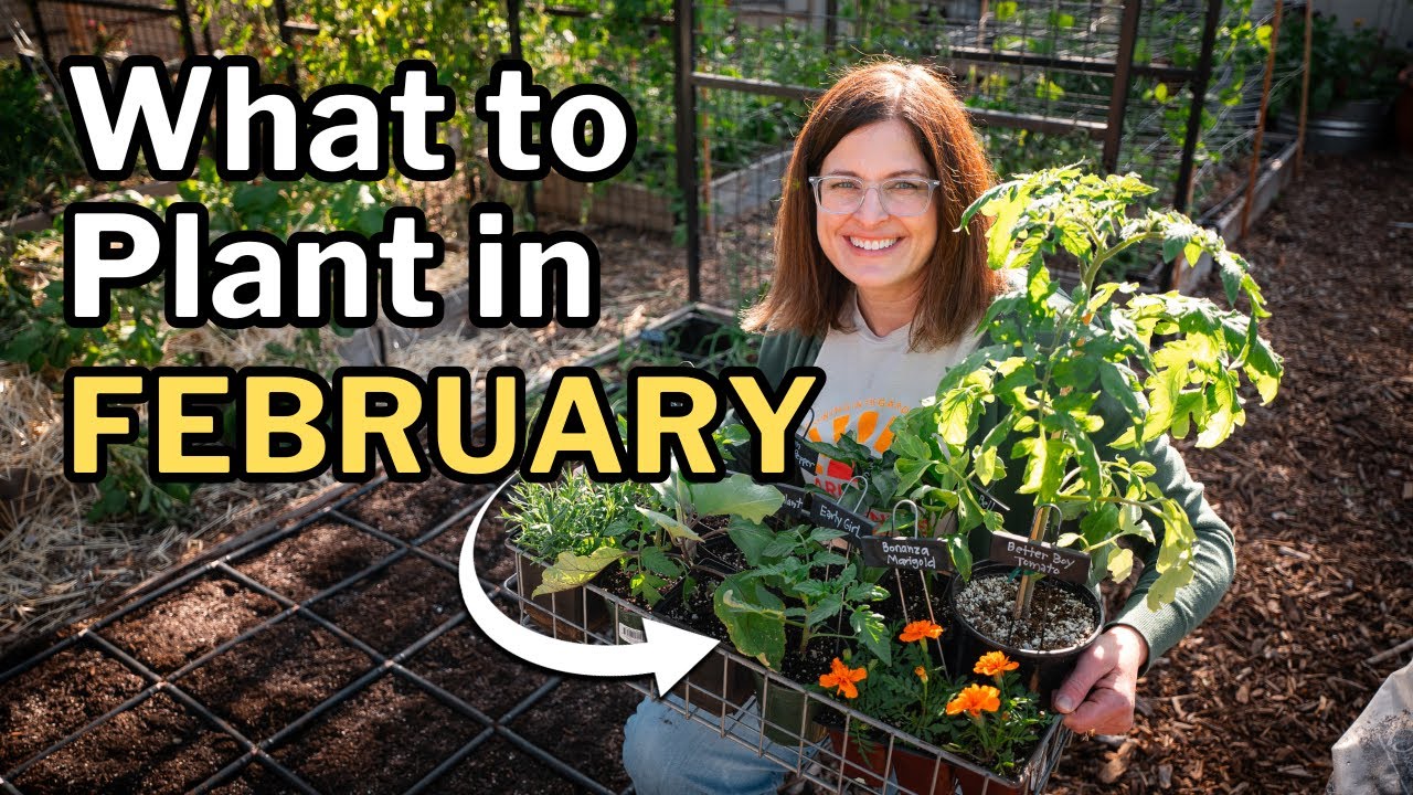 FEBRUARY PLANTING GUIDE: Top Veggies, Herbs & Flowers For Mild Winter Gardens
