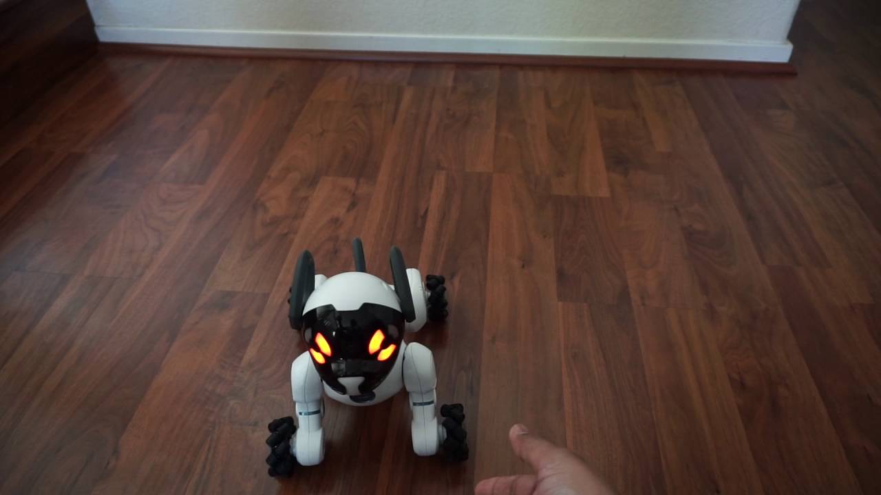 Wowwee Chip Robot Dog Review
