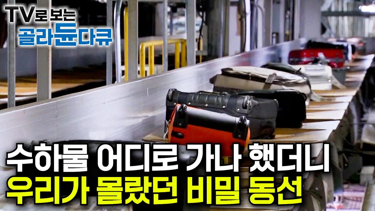 하루 수하물 개수 평균 3만 5천여 개. 우리가 몰랐던 수하물 처리시설의 세계｜수하물의 점검부터 입˙출국 수속 그리고 비행까지 인천공항과 항공사 사람들｜극한직업｜#골라듄다큐