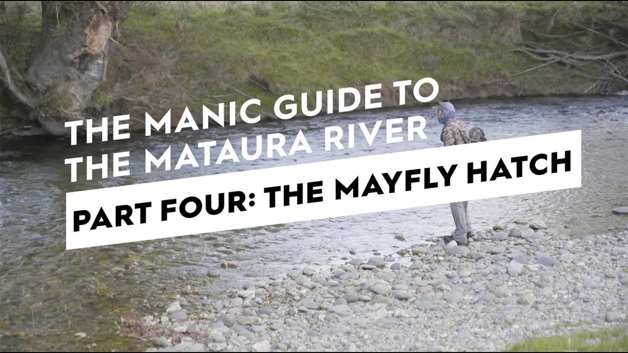 A Mataura River Fly Fishing Guide | Part Four: The Mayfly Hatch