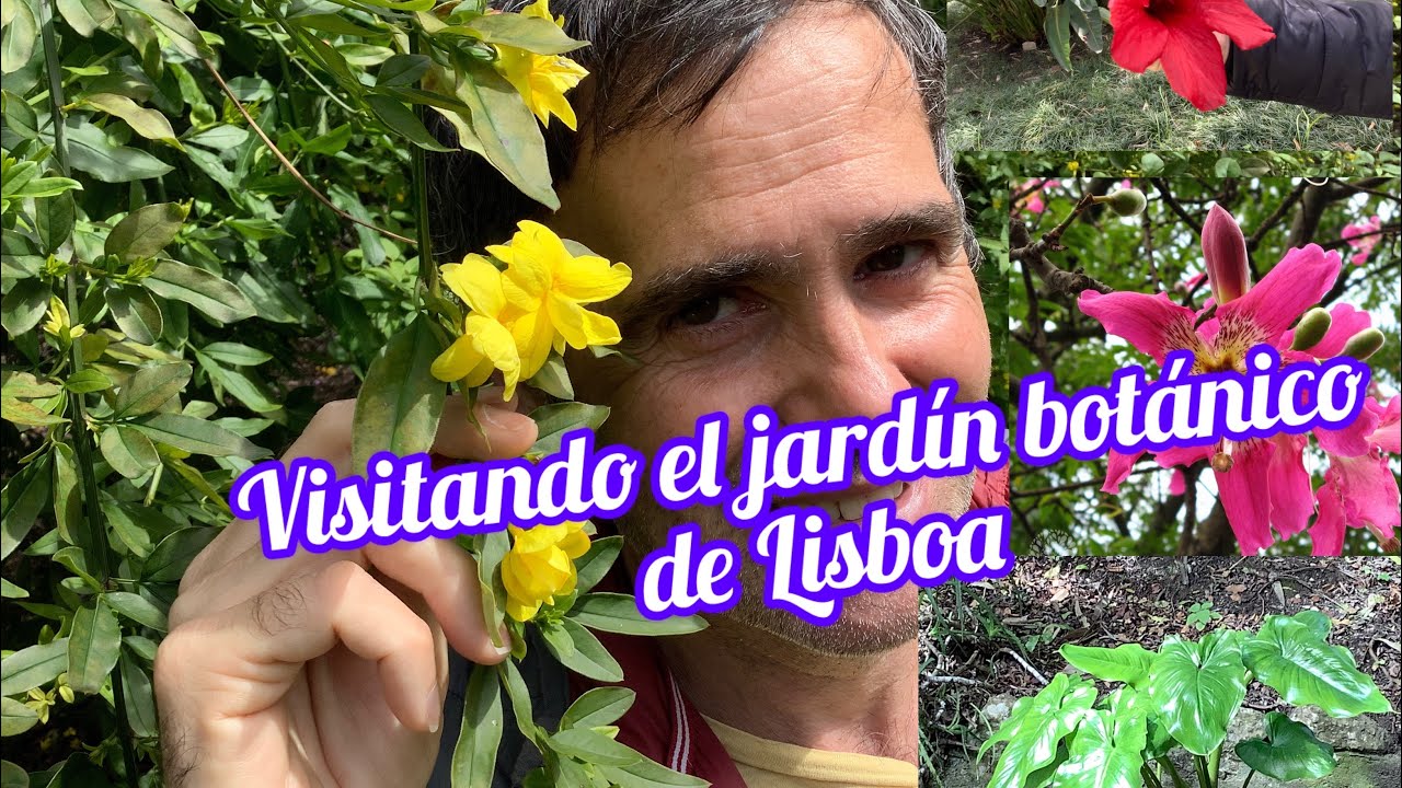 Visitando el jardín botánico de Lisboa CAP 146