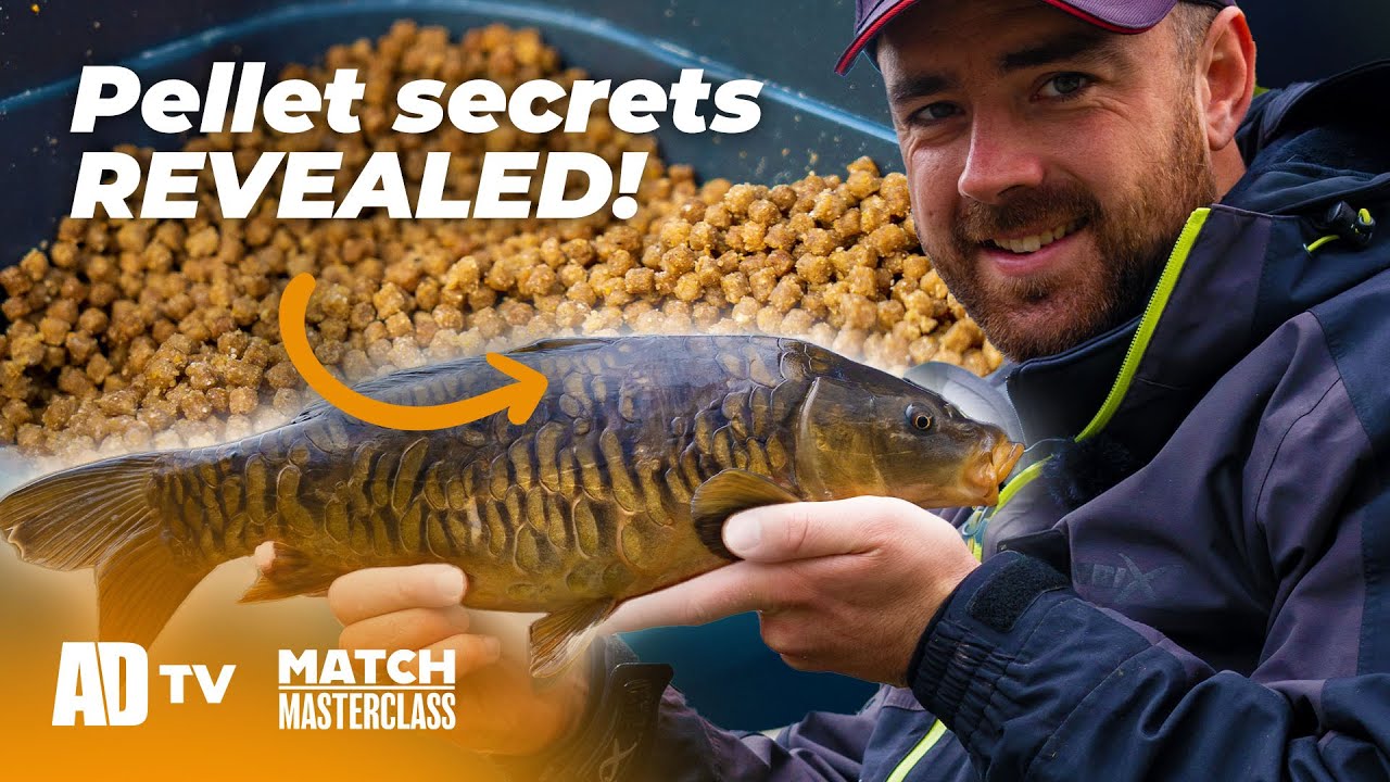 Pellet Fishing Explained - Match Masterclass