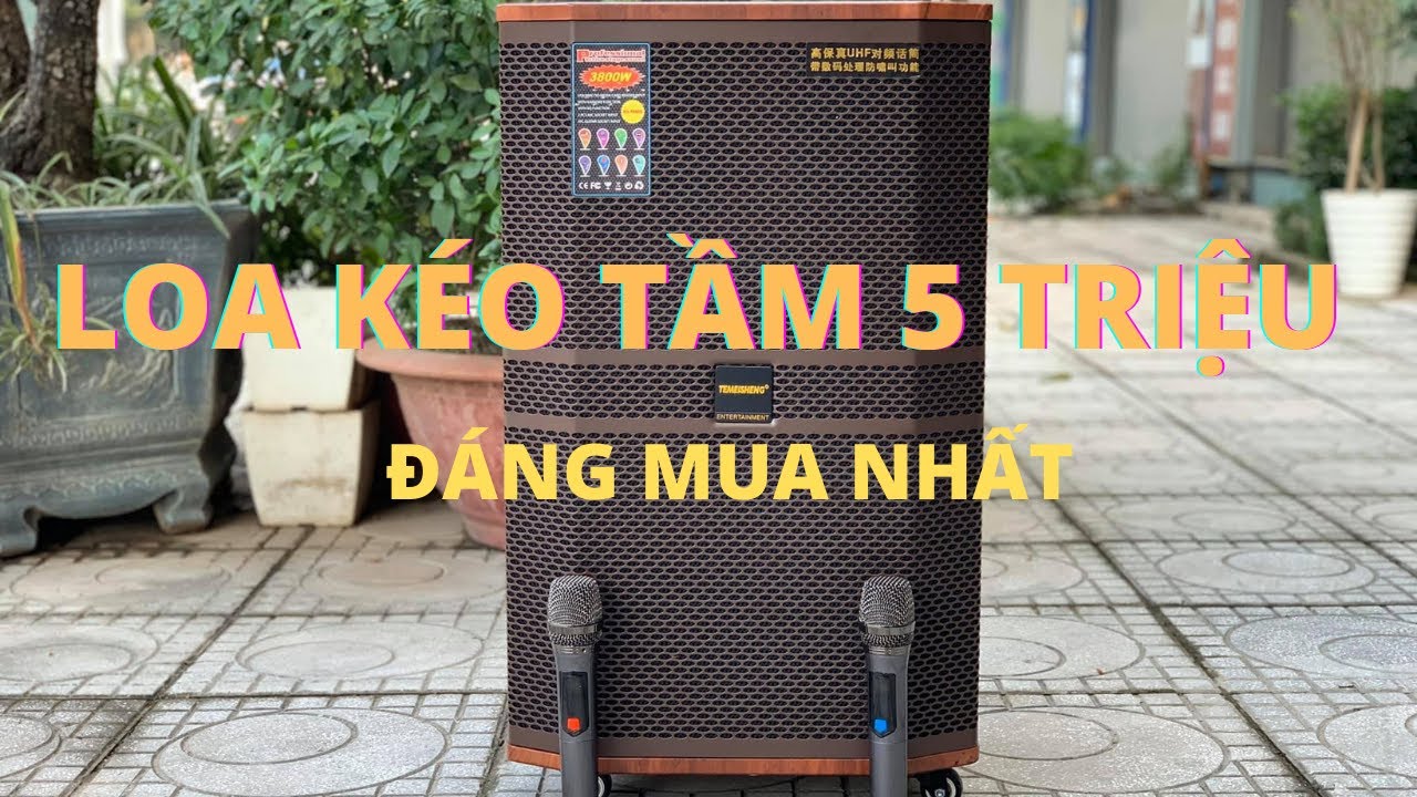 5 Triệu nên chọn mẫu loa kéo nào - Loa kéo Temeisheng ED1502