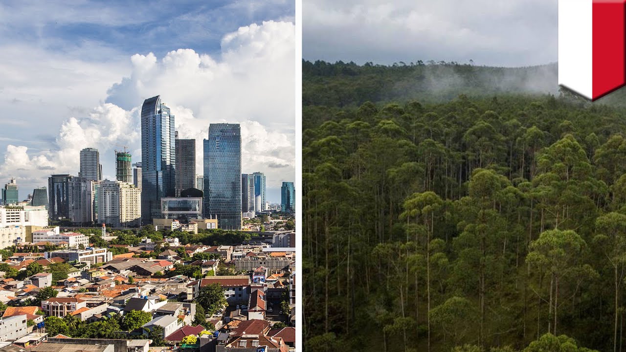 Indonesia to build new capital city on Borneo island - TomoNews