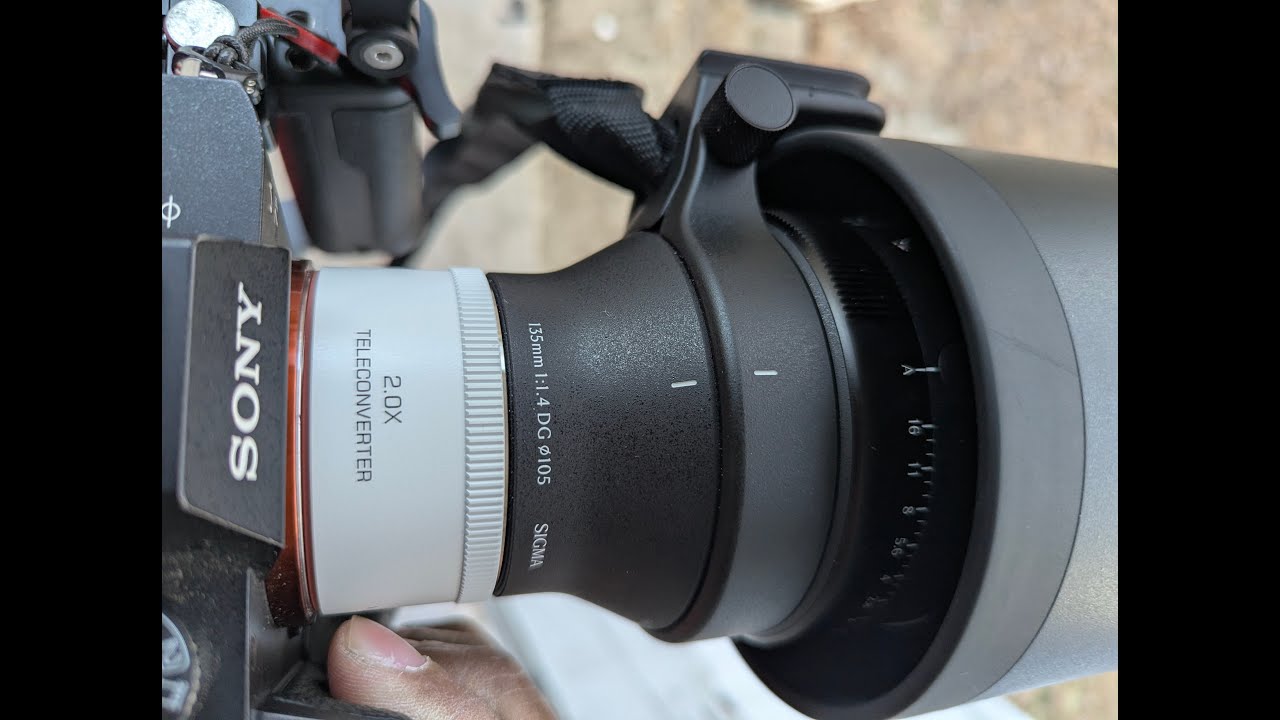Viltrox 2.0X Teleconverter + Sigma 135mm f/1.4 test (Yes it works but not so sharp ) Sony a7III