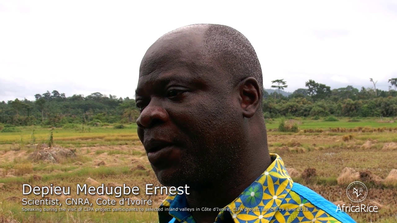 Depieu Medugbe Ernest, Scientist, CNRA,  Cote d’Ivoire  at CIPA Project Launch