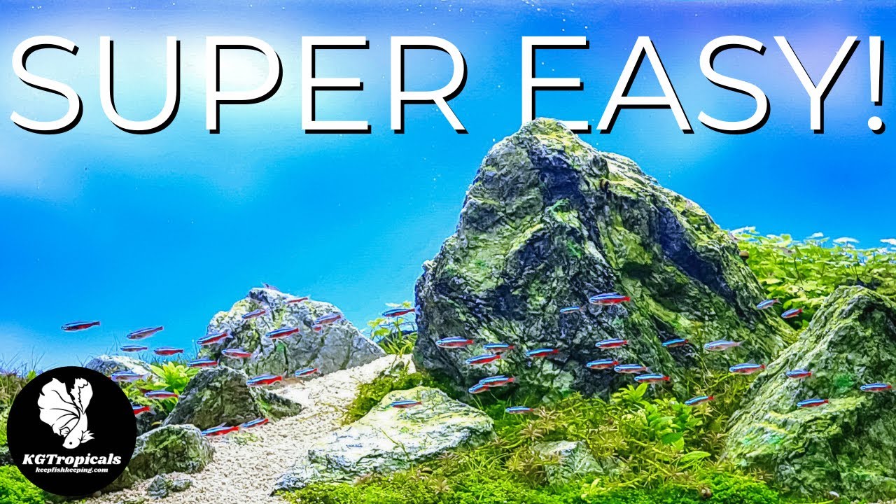 The Easiest Path To A Healthy Aquarium