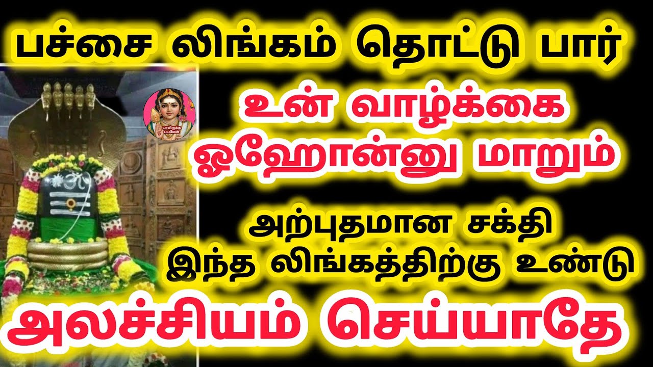 பச்சை லிங்கம் தொட்டு பார் உன் வாழ்க்கை ஓஹோன்னு மாறும் அற்புதமான சக்தி இந்த லிங்கத்திற்கு உண்டு தொடு