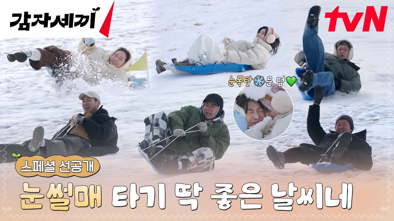 [감자세끼 선공개] 예능 신이 돕는 감자 패밀리🥔☃ 눈썰매 타는데 표정은 최소 봅슬레이 타는 느낌🛷 #감자세끼